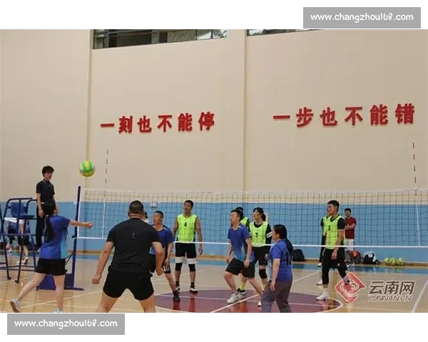 体育爱好者必看 全面解析体育官网入口的使用技巧与安全指南